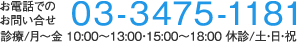 お電話でのお問い合せ：03-3475-1181